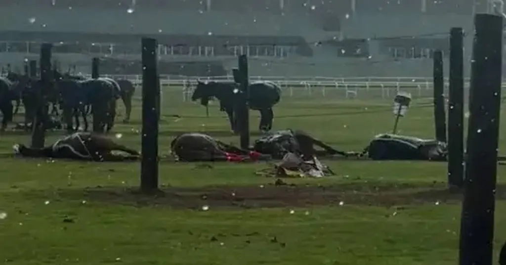 Cayó un rayo en una cancha de polo: murieron cuatro caballos y un cuidador sufrió heridas