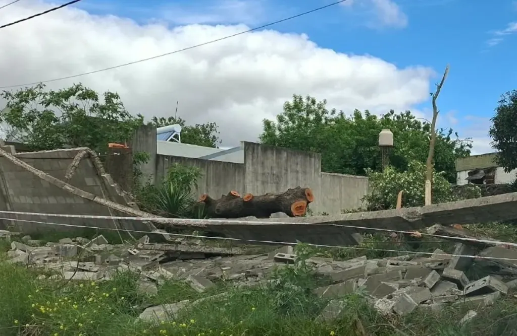 Cedió el muro de calle Allais mientras realizaban tareas de limpieza en el terreno