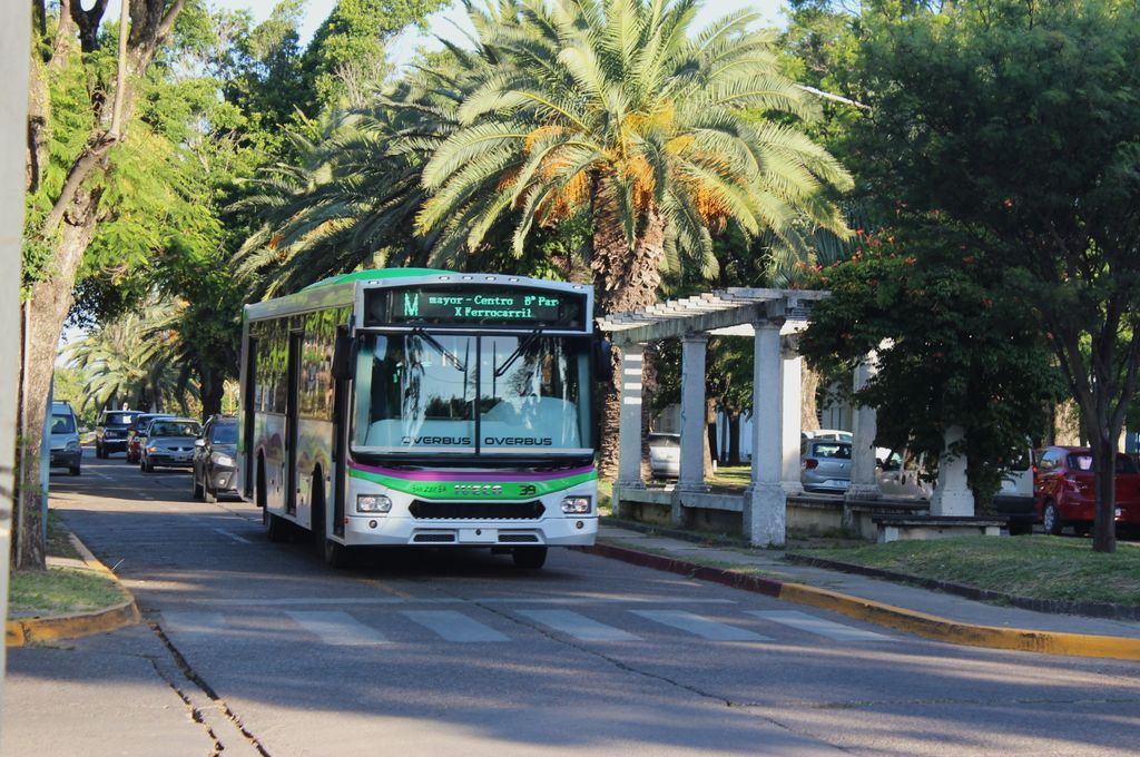 Colectivos: el Defensor del Pueblo pide que se informe mejor al usuario