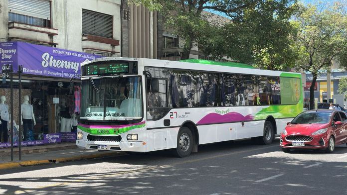 Colectivos en Paraná: sumarán una nueva línea y ampliarán recorridos