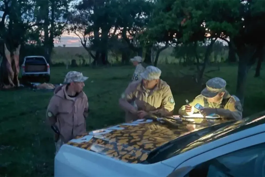 Colón: fueron a constatar una usurpación y encontraron a dos hombres faenando una vaca