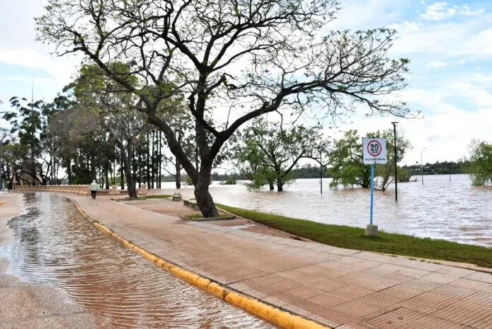 Comenzó el regreso de las familias evacuadas en Concordia tras la crecida del río