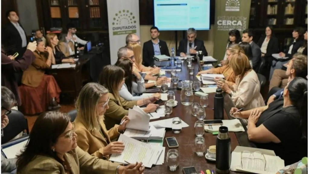 Con la exposición de Fabián Boleas, inició el debate del proyecto de Presupuesto 2027