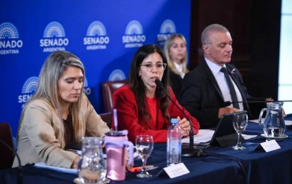 Con los aliados en disidencia, se firmó el dictamen de la reforma en Salud Mental