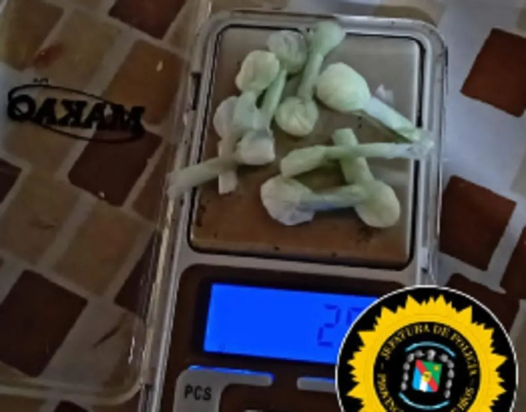 Concepción del Uruguay: Un detenido y cocaína secuestrada