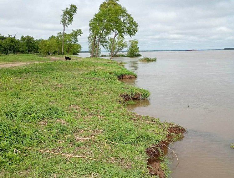 Creciente del Río Paraná: Retiraron bancos y churrasqueras en Puerto Curtiembre