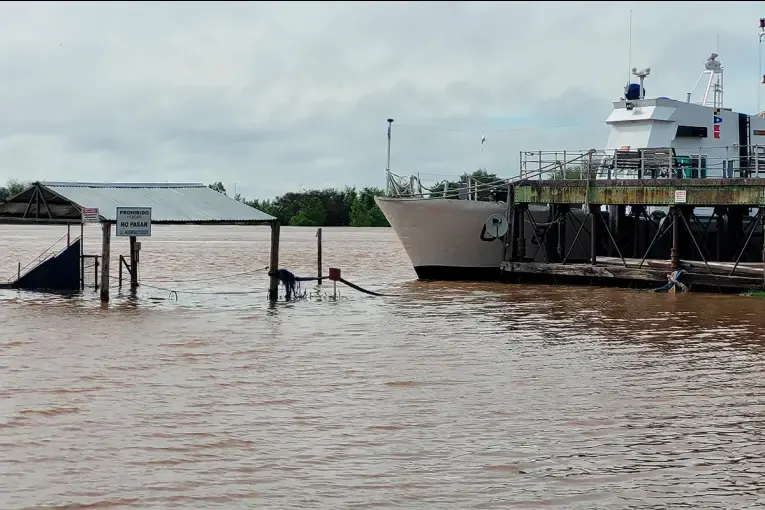 Creciente del río Uruguay: el alerta continúa y actualizaron las alturas en Entre Ríos