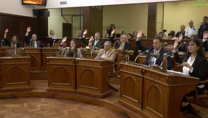 De la adhesión a la derogación: el Concejo le bajó el pulgar a la Ley de Grandes Superficies Comerciales