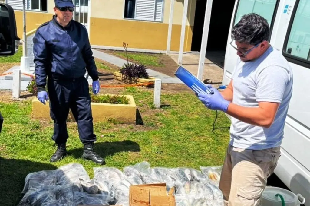 Decomisaron 200 kilos de pescado y mariscos sin papeles en una ruta de Entre Ríos
