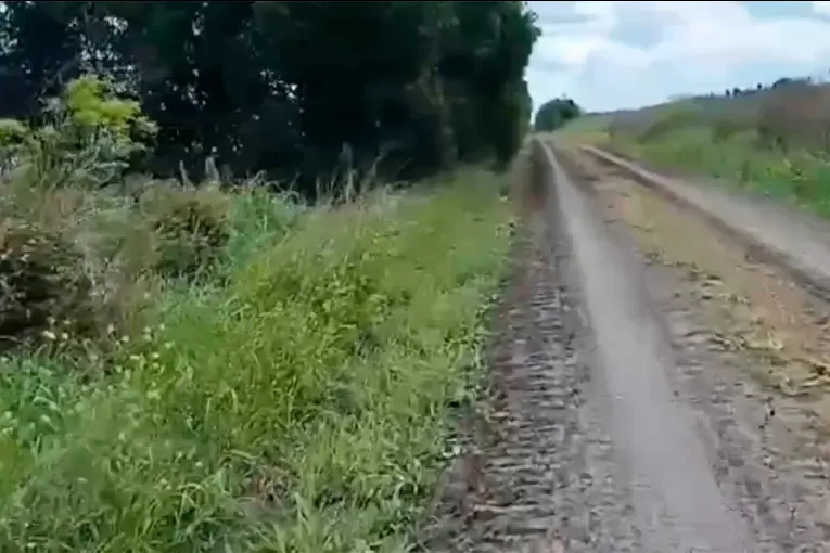 Degradación de la red vial del campo: la propuesta de los caminos rurales sustentables para frenar la erosión