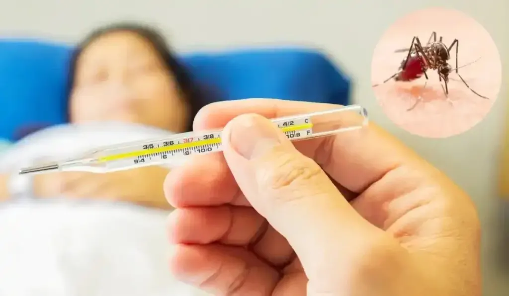 Dengue en Argentina: confirmaron dos nuevos casos y hay nueve probables bajo investigación
