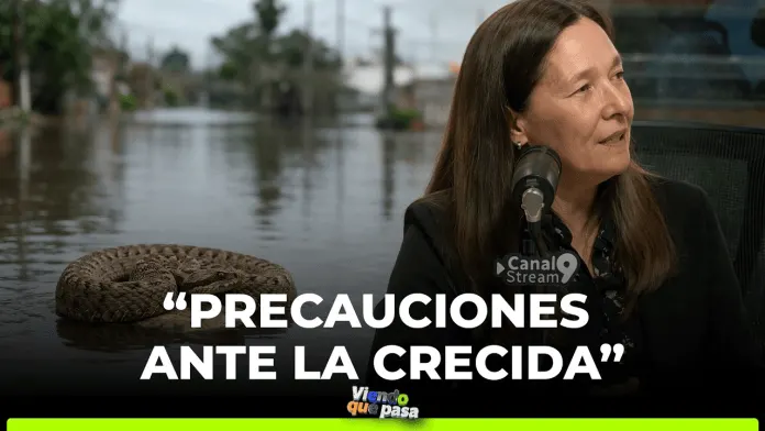 Dengue, serpientes y otros efectos de El Niño: cómo prevenirse y qué hacer ante una emergencia