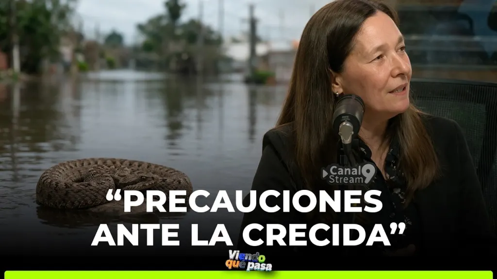 Dengue, serpientes y otros efectos de El Niño: cómo prevenirse y qué hacer ante una emergencia