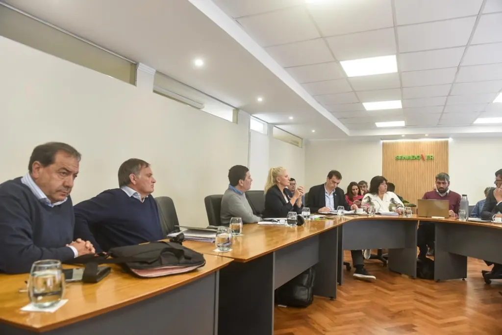Dictamen favorable para la Ley de Ética Pública: la oposición destacó cambios para reforzar los controles y las sanciones