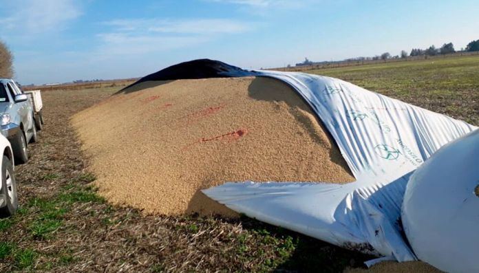 Dieron media sanción al proyecto que tipifica el vandalismo rural