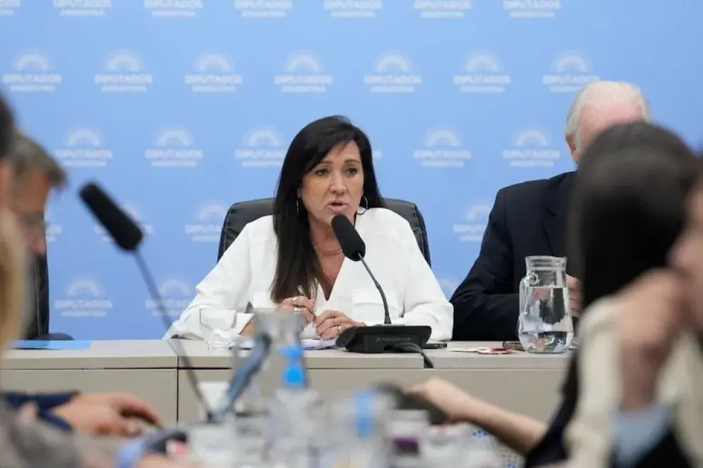 Diputados da inicio al debate por la Imprescriptibilidad de los delitos contra la Integridad Sexual