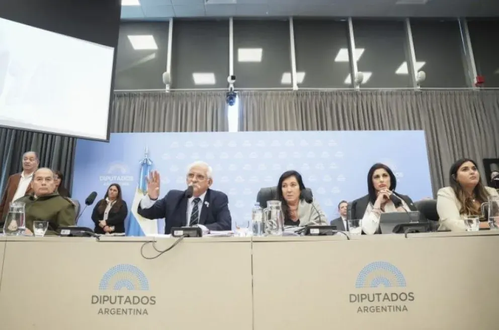 Diputados retoma el debate de la Ley de Defensa de la Soberanía, sin dictamen a la vista