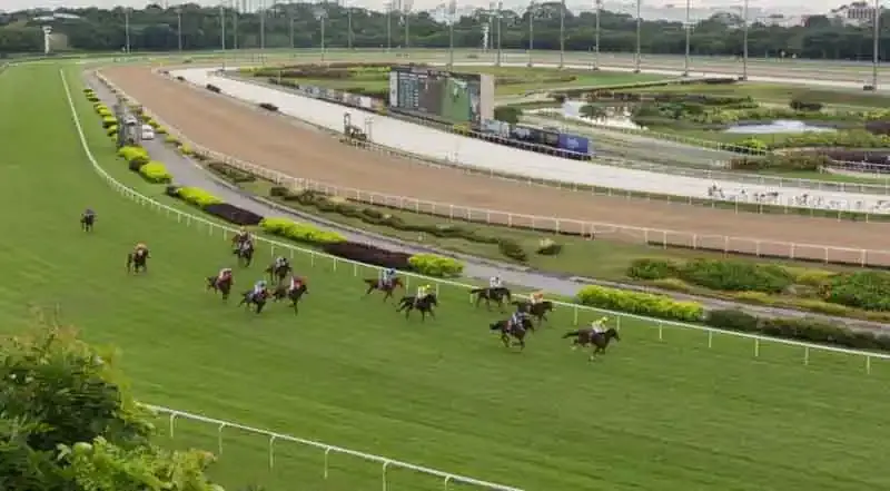 Domingo 11: Actividad Hipódromo de San Isidro