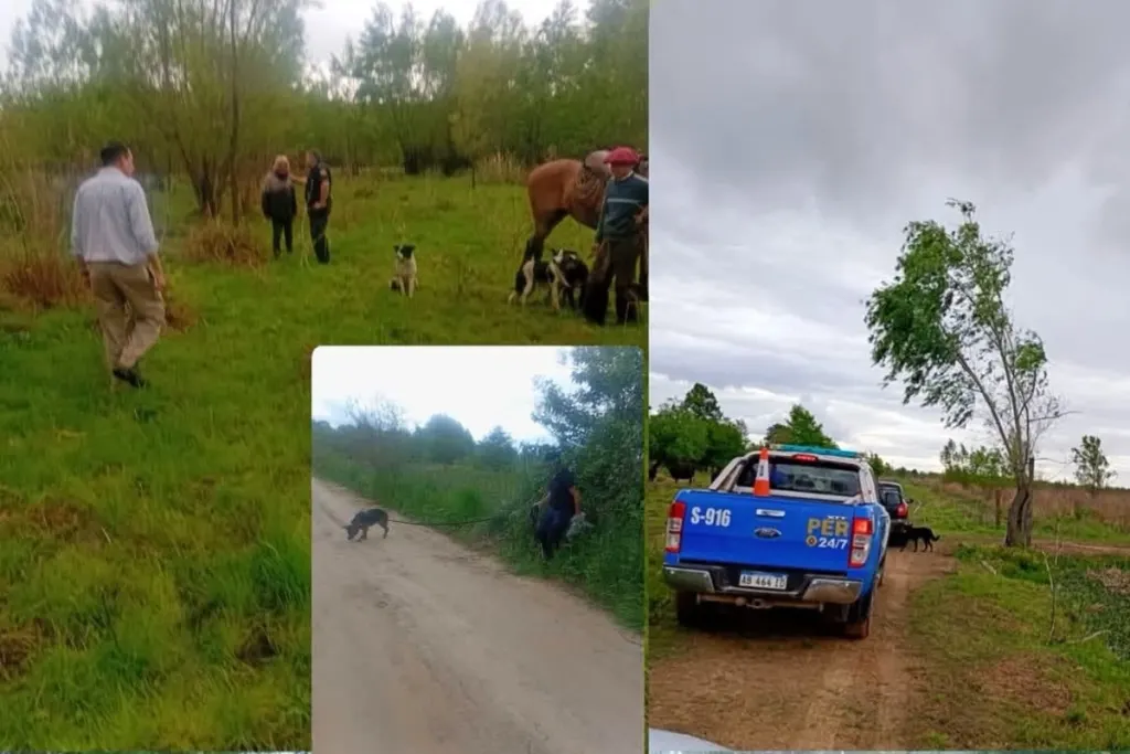 Dos peones rurales encontraron con vida a un hombre de 75 años que estaba desaparecido en zona de islas