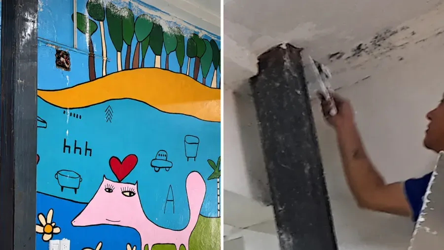 El director del Hospital San Roque explicó por qué se cubrió el mural de Milo Lockett