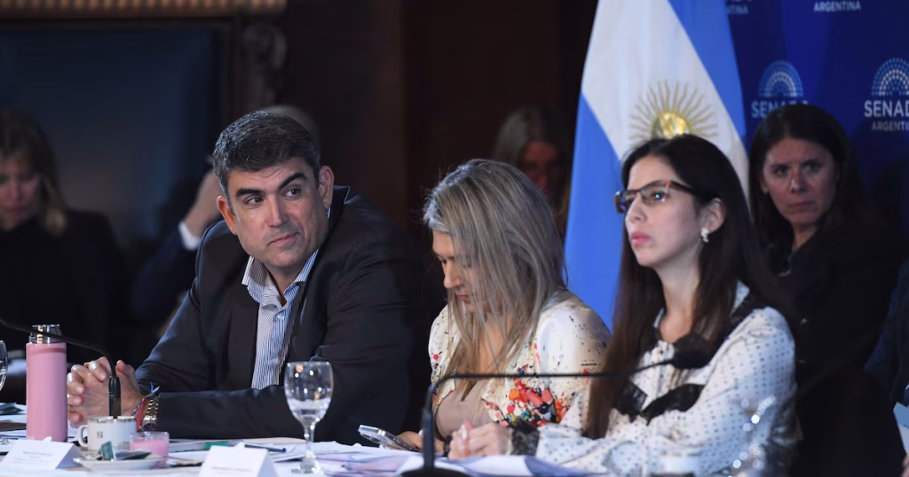 El Gobierno acelera en el Senado cambios en la ley de salud mental