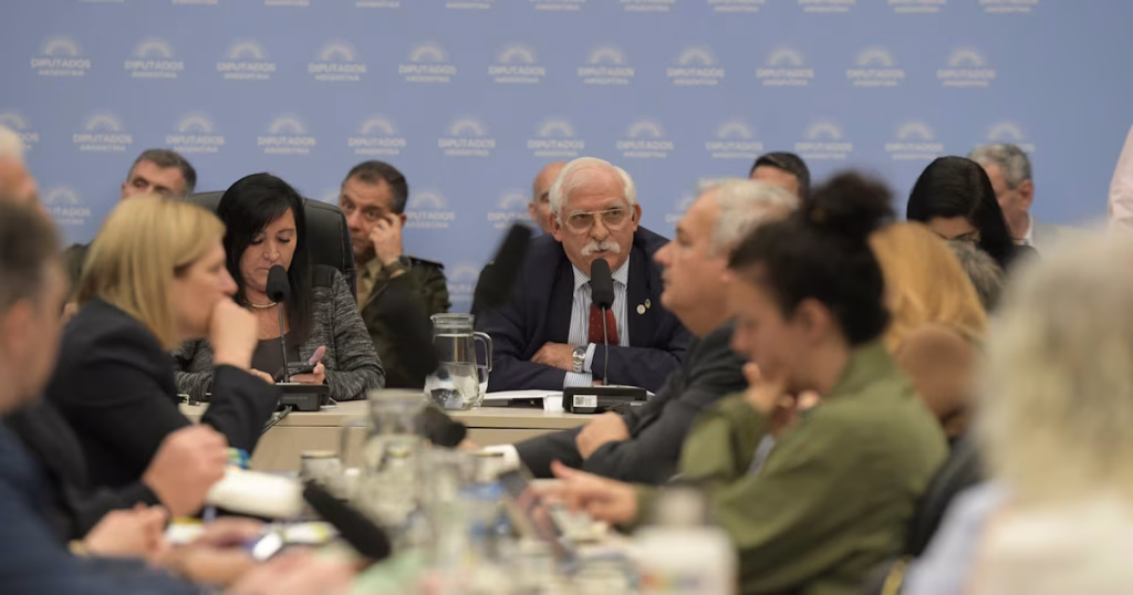 El Gobierno busca cerrar aliados y acelerar el proyecto sobre Malvinas