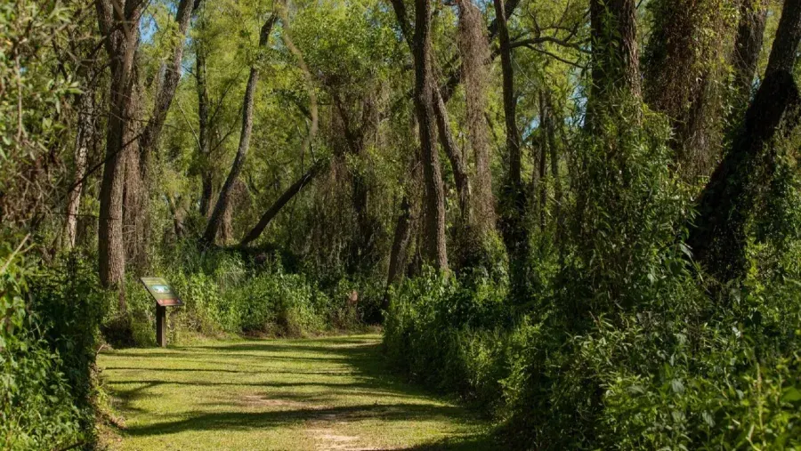 El Museo Antonio Serrano realizará un ciclo de charlas sobre flora nativa y ambientes entrerrianos