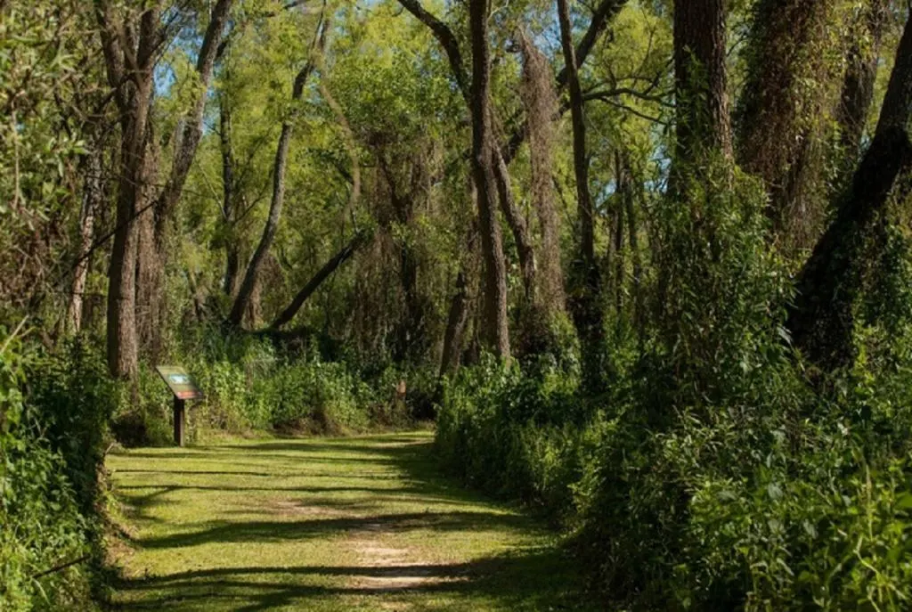 El Museo Antonio Serrano realizará un ciclo de charlas sobre flora nativa y ambientes entrerrianos