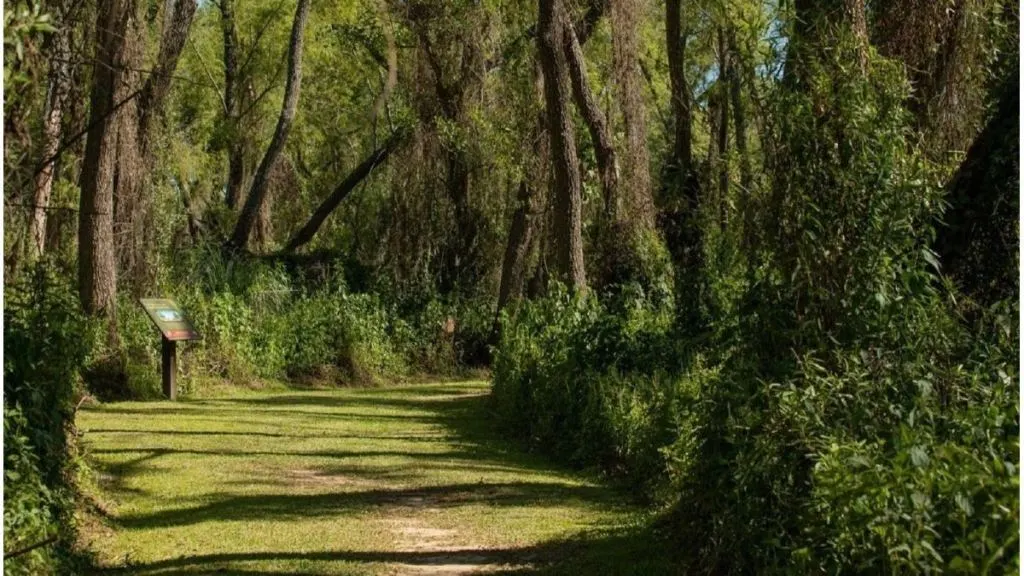 El Museo Serrano invita a conocer los ambientes naturales de Entre Ríos