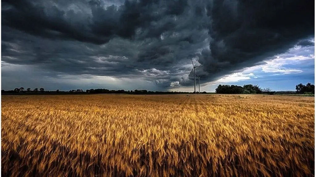 El Niño 2026-2027: el Gobierno lanzó una plataforma para anticipar riesgos en el campo