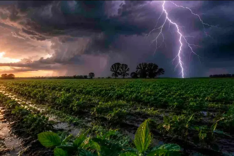 El Niño y el agro: esperan mejores rindes, pero las lluvias pueden encarecer la cosecha