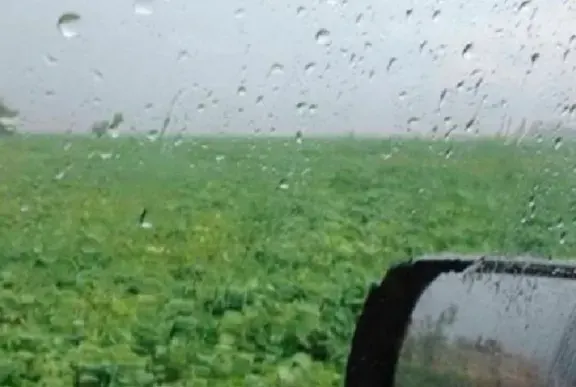 El Niño ya se hace sentir en el Litoral: lluvias de más de 50 milímetros e impacto en trigo y maíz