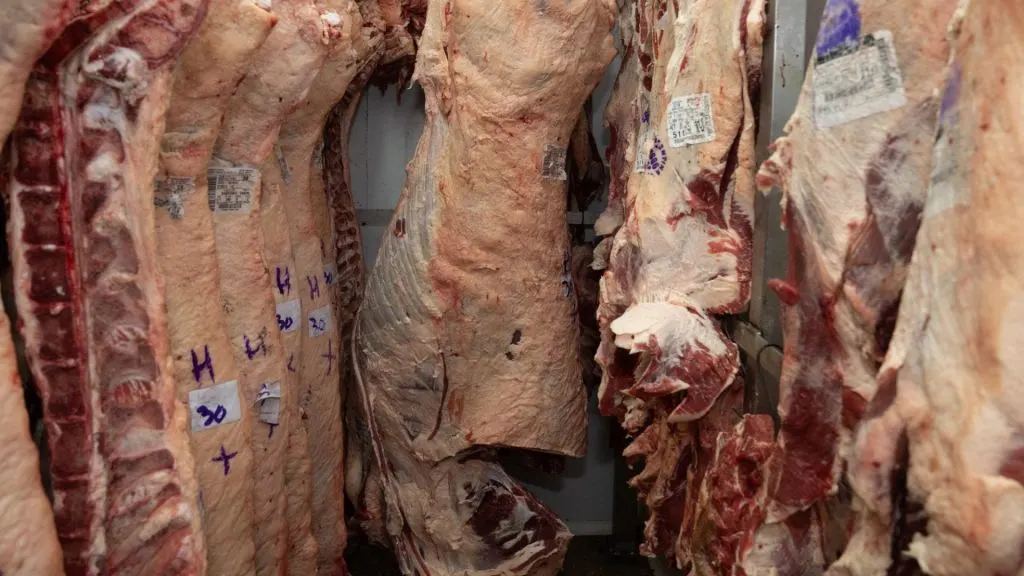 El precio de la carne ante “El Niño” y previo a las Fiestas: “Vamos a tener una sobreoferta”