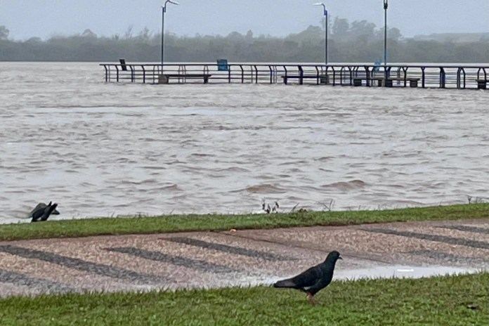 El río baja en Concordia y Colón, pero sube en localidades de la costa del Paraná