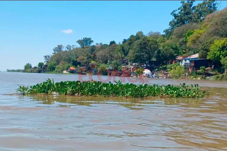 El río Paraná crece a la altura de los puertos de cuatro localidades entrerrianas