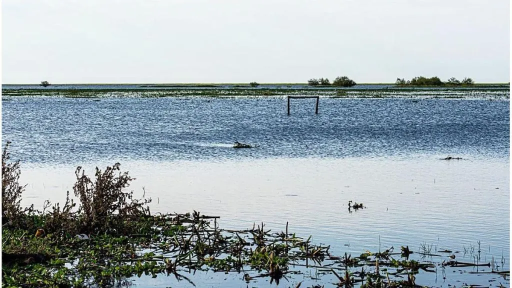 El río Paraná sigue en ascenso en Entre Ríos, pero las marcas se mantienen debajo de las alertas