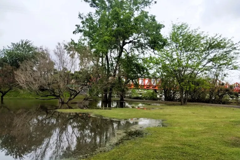 El río Uruguay mantendrá una tendencia a la baja lenta pero se sostiene el estado de alerta