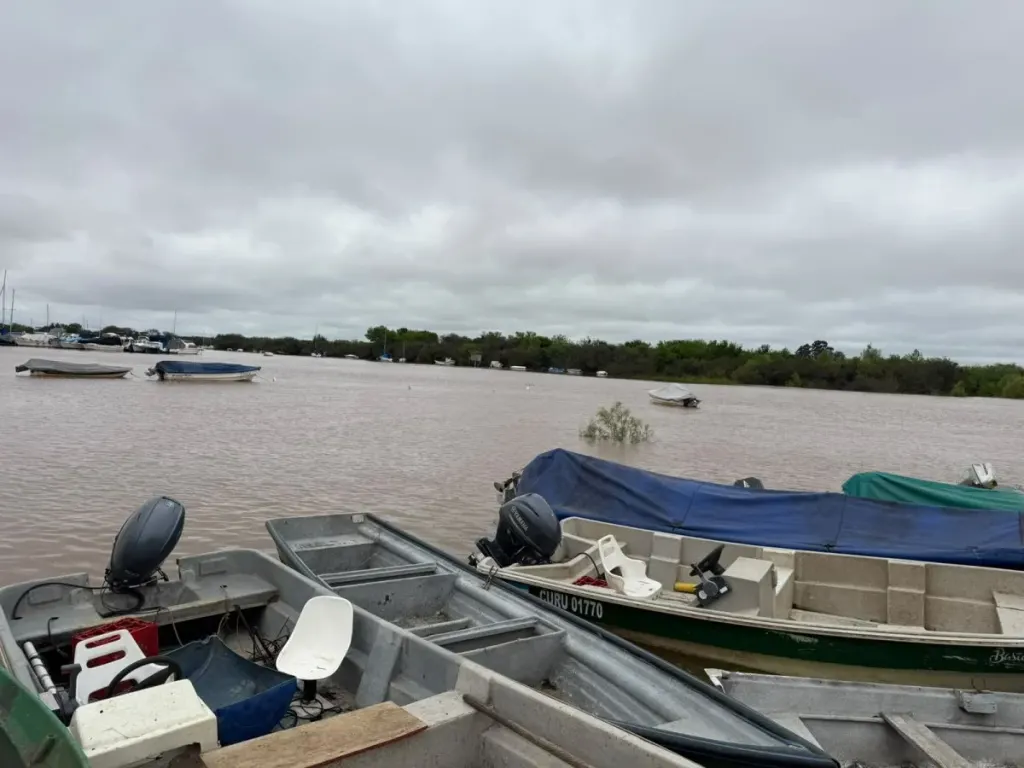 El río Uruguay registra una leve bajante y se mantiene el monitoreo en la región