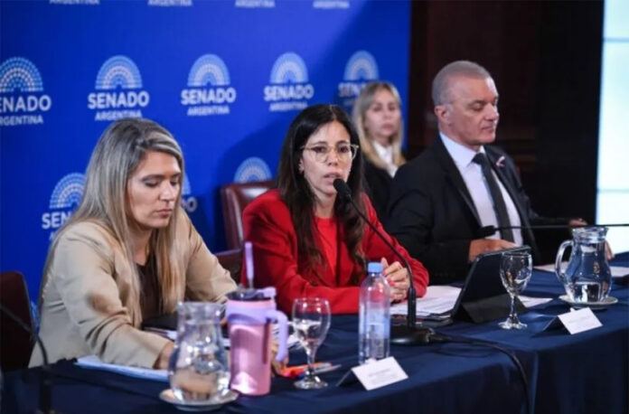 El Senado avanza con la reforma de la Ley de Salud Mental