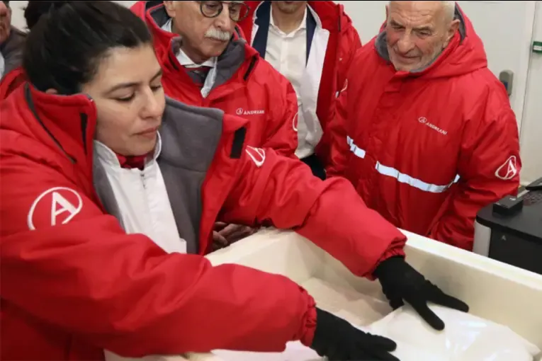 En lo que va del año, se distribuyeron más de 20,8 millones de vacunas en el país