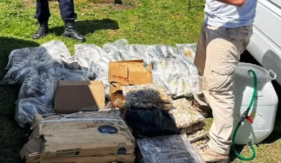 Entre Ríos: Detectan 200 kilos de pescados y mariscos transportados de manera irregular