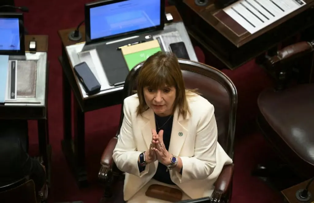 Entró el proyecto de Discapacidad al Senado y Bullrich lo quiere votar en noviembre para que sea ley