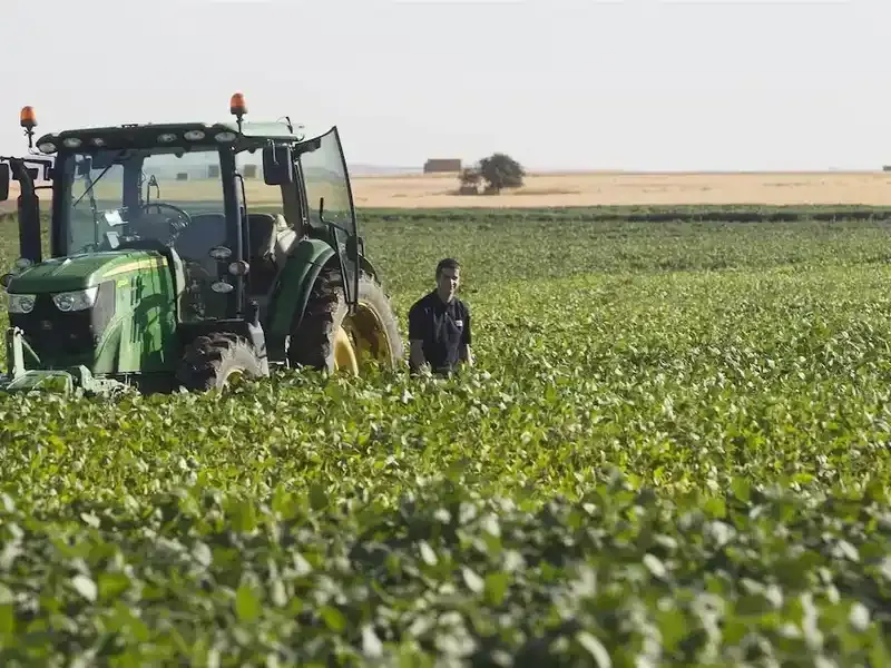 Estiman que la Argentina es el único productor agrícola del mundo que mejoraría su cosecha pese a El Niño