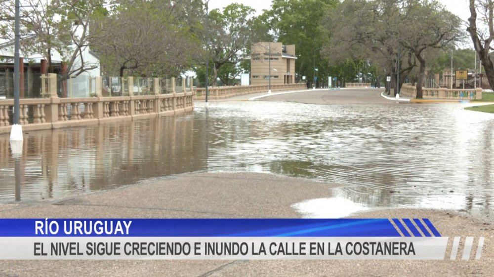 Evacuaciones preventivas y altura del río Uruguay frente al puerto de Concordia
