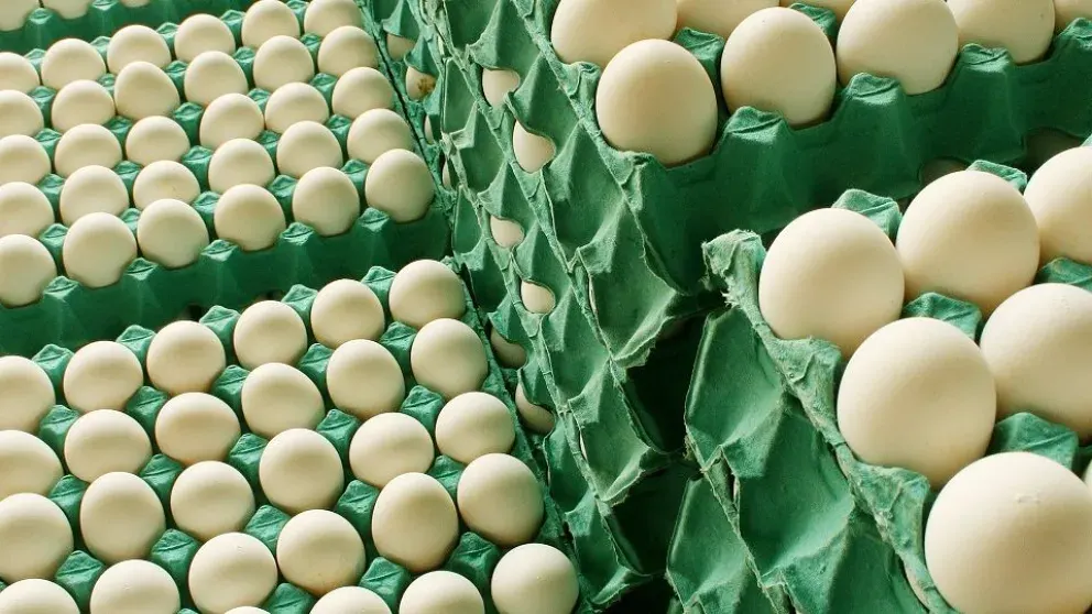 FAA Entre Ríos señaló que el consumo interno de huevos está satisfecho pero apunta a la exportación y la baja de impuestos