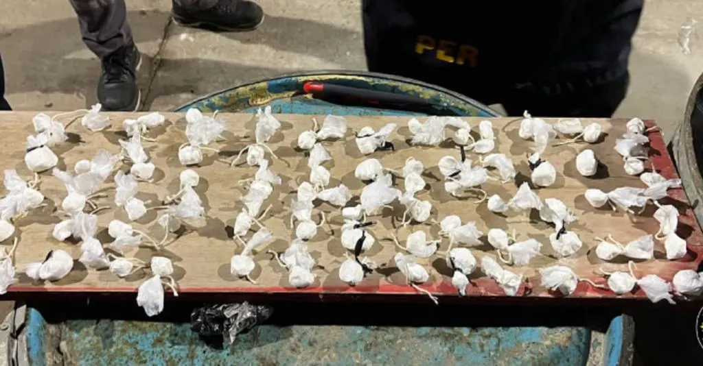 Federación: Dos detenidos. Secuestro de cocaína y marihuana en operativo vehicular
