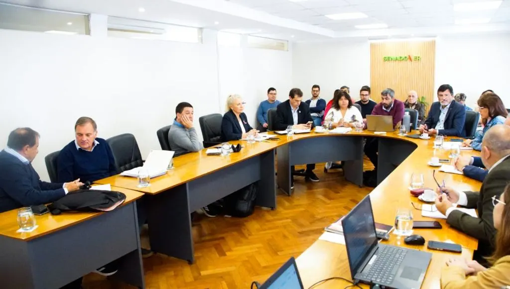 Ficha Limpia: el Senado cambió el plazo de inhabilitación e incorporó delitos