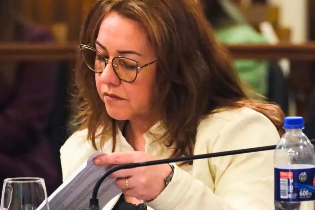 Ficha Limpia: «Que no me usen como excusa», dijo la senadora Díaz