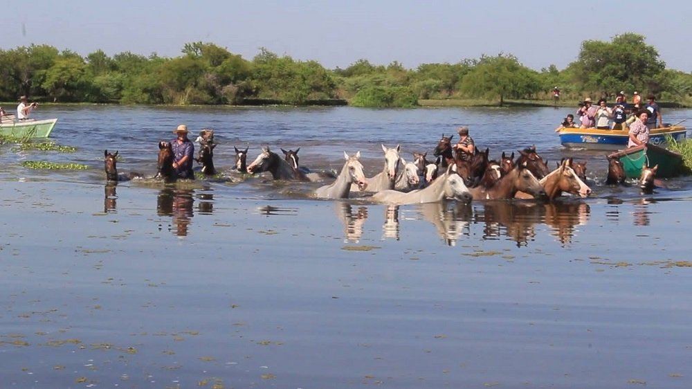 “Fiesta del Pueblo Isleño” en Las Cuevas: No se realizará este año