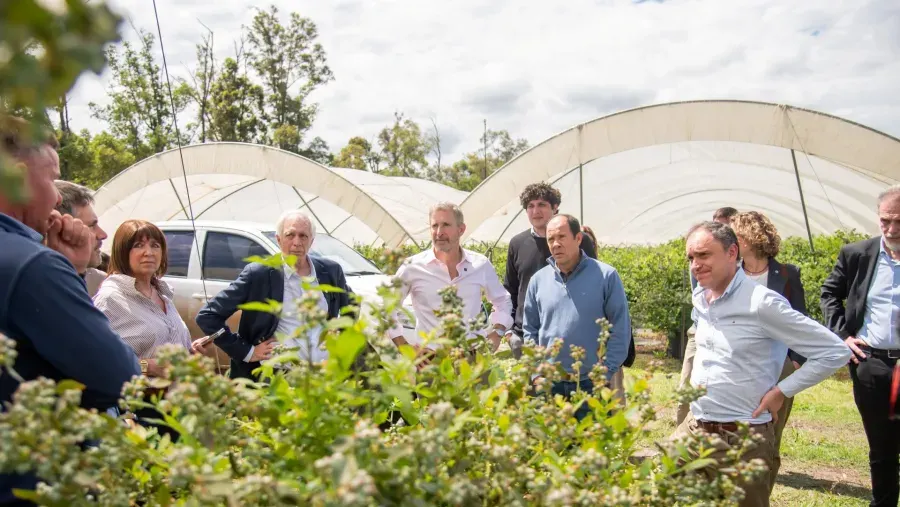 Frigerio y el titular del CFI recorrieron una empresa exportadora de arándanos en Colonia Ayuí
